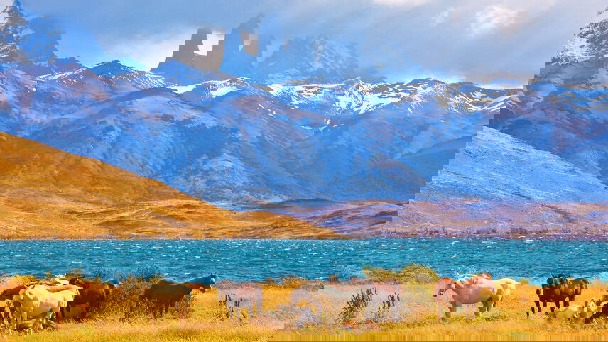 Adventures in Patagonia