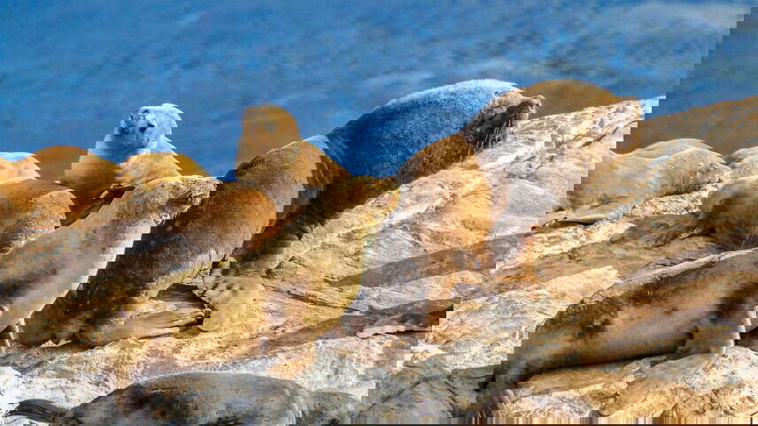 Adventures in Patagonia with Iguazu Extension