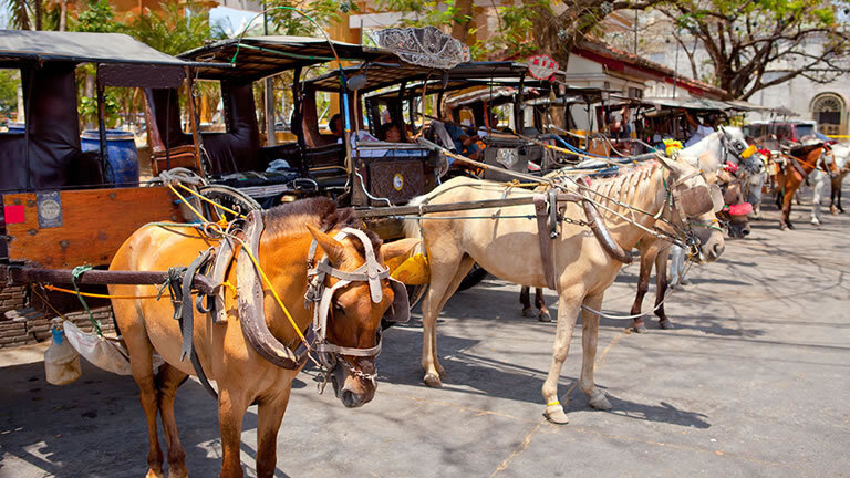 North Philippines Explorer