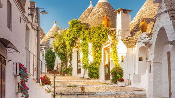 8 Day Highlights of Puglia (Explore)