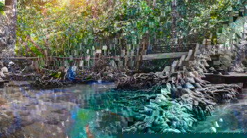 12 Day Discover Thailand (East) (Explore)