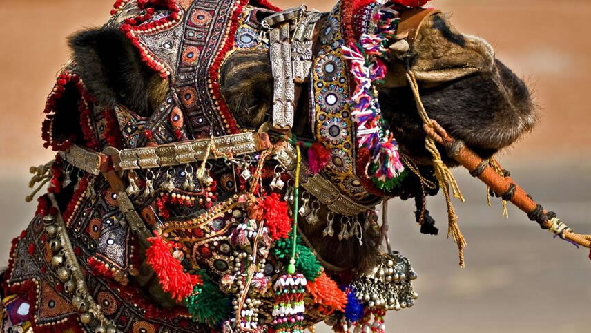 Rajasthan - Land of the Maharajahs (Pushkar Festival)