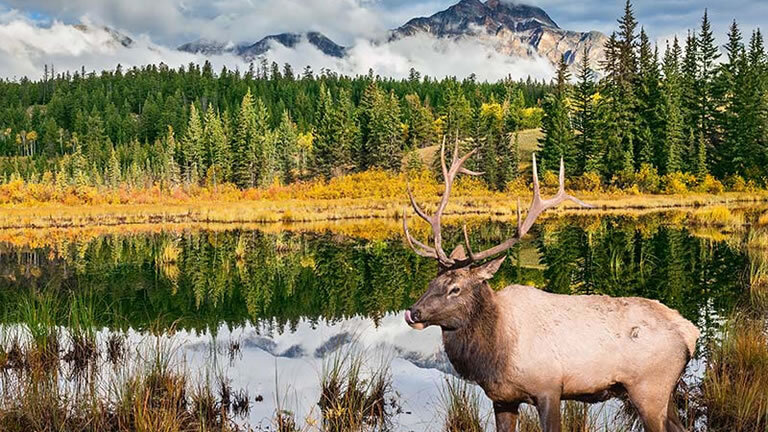Canadian Rockies & Pacific Coast