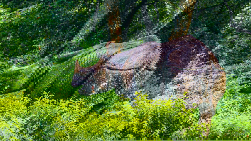 Walking the Annapurna Foothills