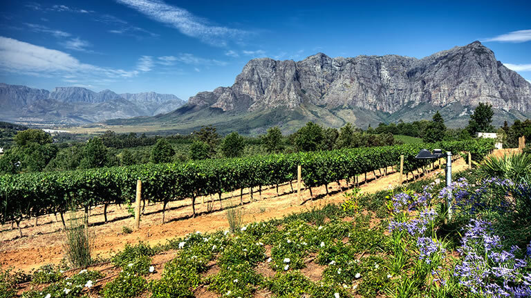 South Africa Highlights (Swellendam)