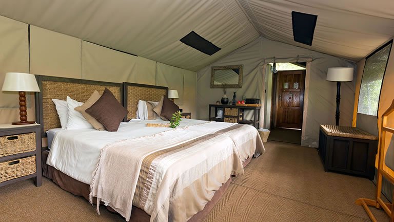 South Africa Lodge Safari