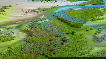 13 Day Senegal & The Gambia (Explore)