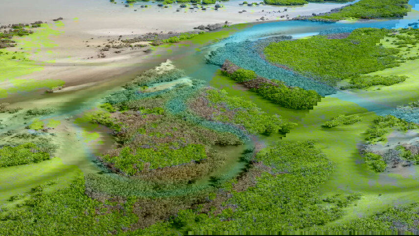 Senegal & The Gambia