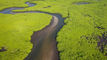 14 Day Senegal & The Gambia (Explore)