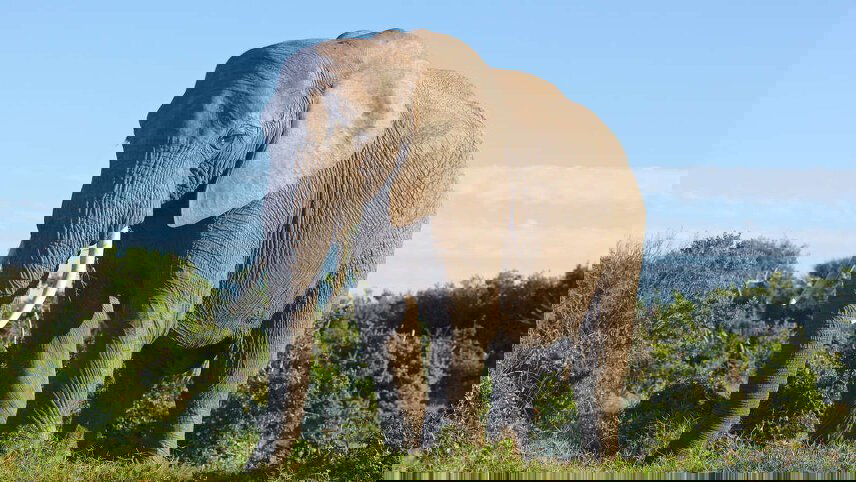 South Africa's Garden Route