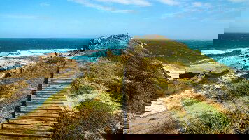 12 Day South Africa's Garden Route (Explore)