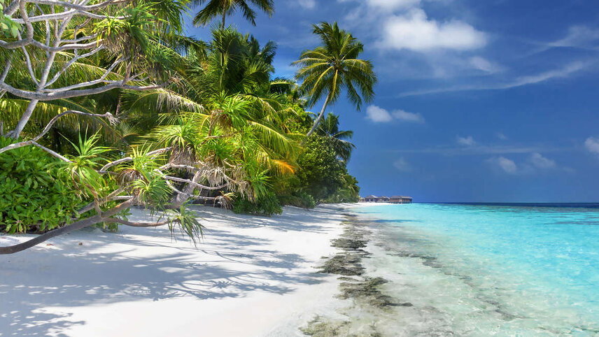 Sri Lanka in Depth with Maldive Dhoni Cruise (Horton Plains)