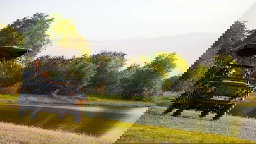 Serengeti Wildlife Experience