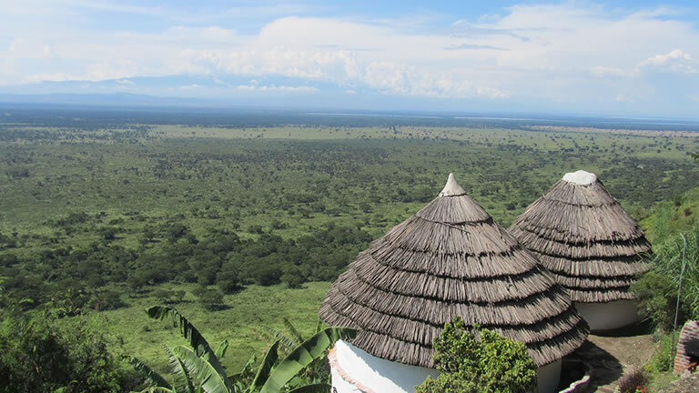 Uganda Gorilla & Chimp Safari
