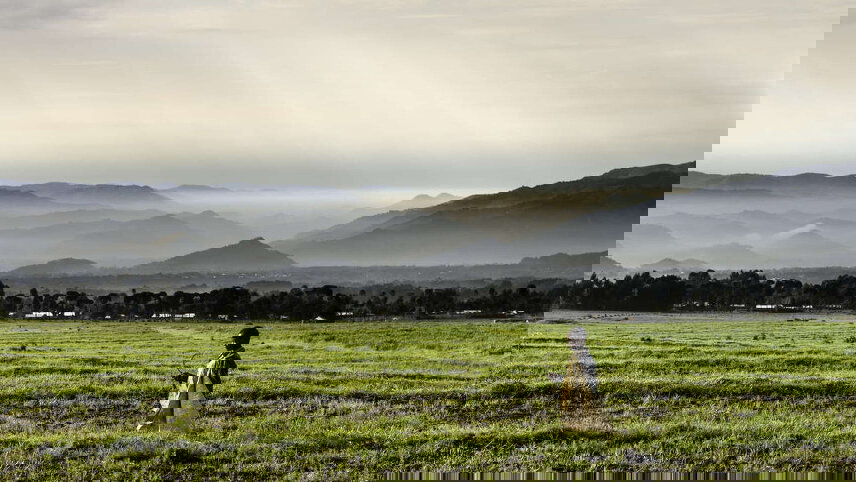 Uganda & Rwanda Gorilla Discovery