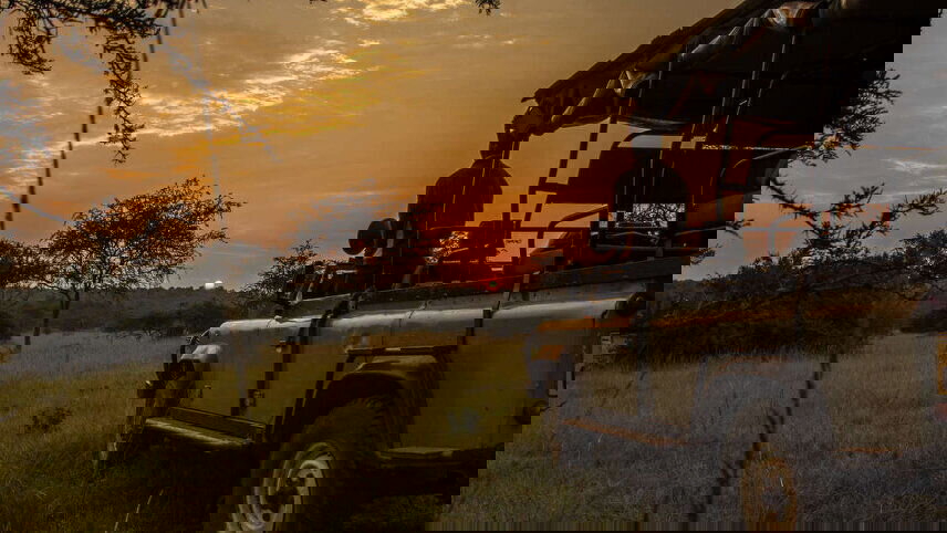 Uganda & Rwanda Gorilla Discovery