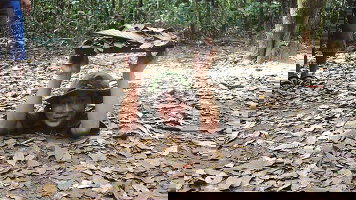 14 Day Inside Vietnam (Explore)