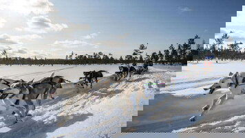 6 Day Finnish Lapland Winter Adventure (Explore Worldwide)