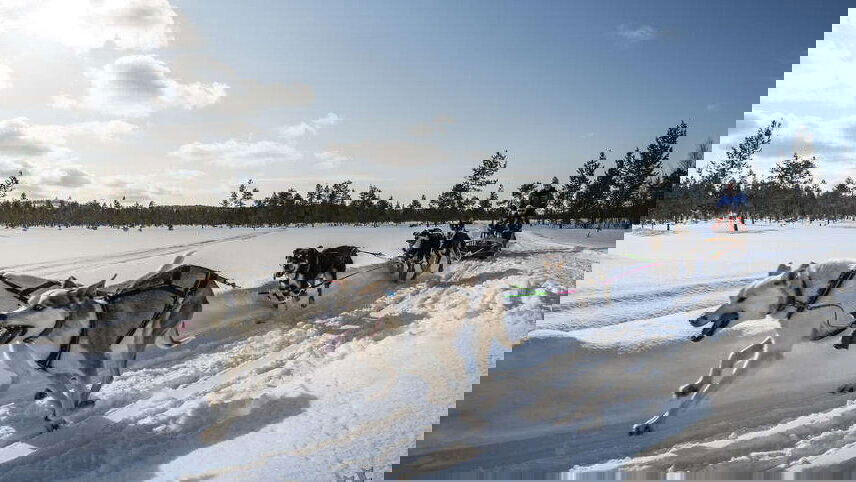 Finnish Lapland Winter Adventure