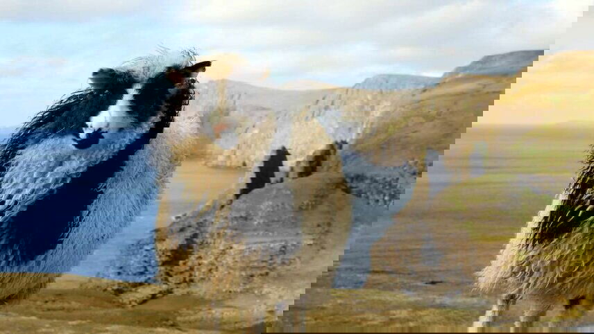 Walking in the Faroe Islands