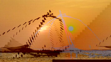 11 Day Walking in Kerala (Explore)