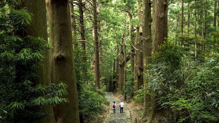 Walk Japan - Kumano Kodo Trail