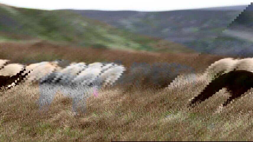 Walk Northern Ireland & Donegal