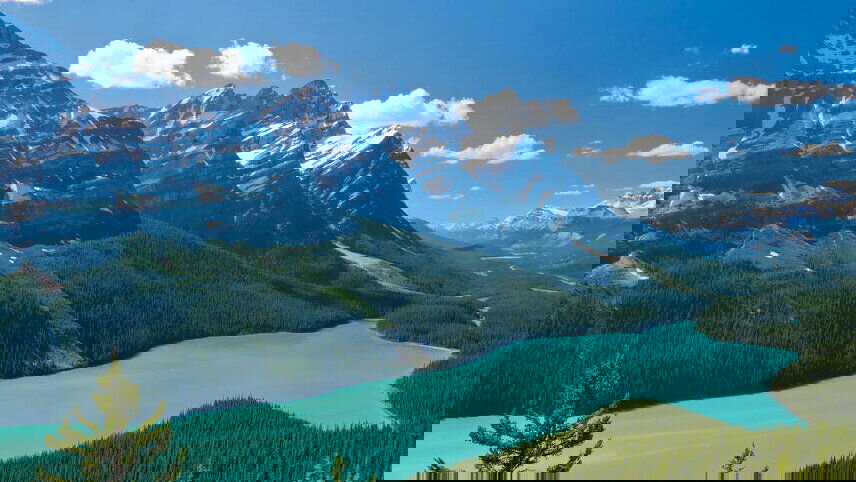 Walking in the Canadian Rockies