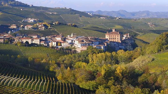 The Gastronomy of Piedmont