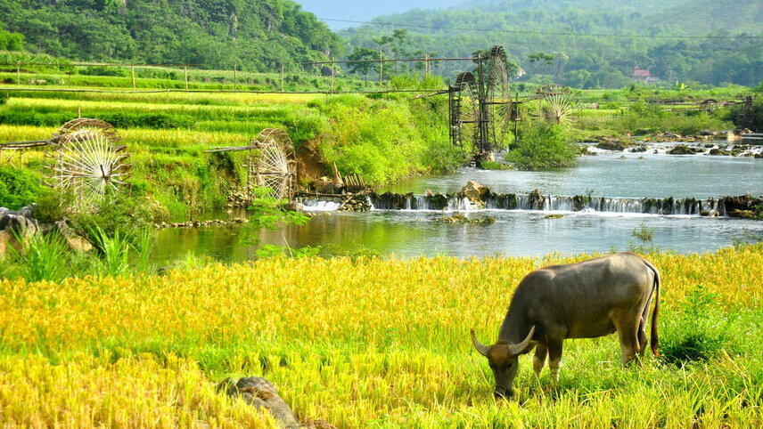 Walking in Vietnam