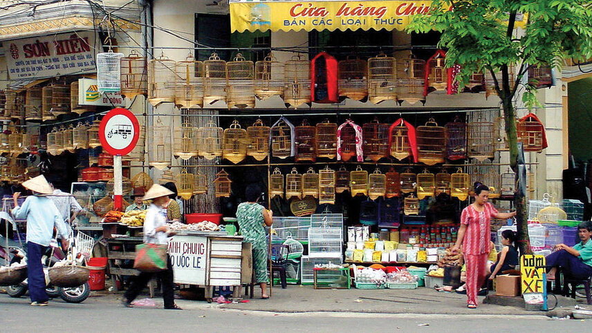 Walking in Vietnam