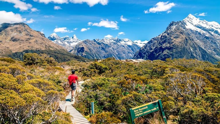 Walking in New Zealand