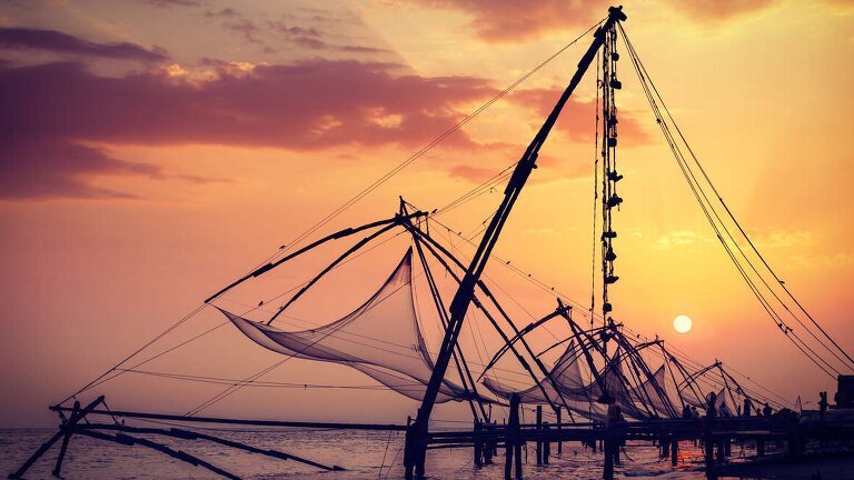 A Taste of Southern India - Temples & Tea Plantations