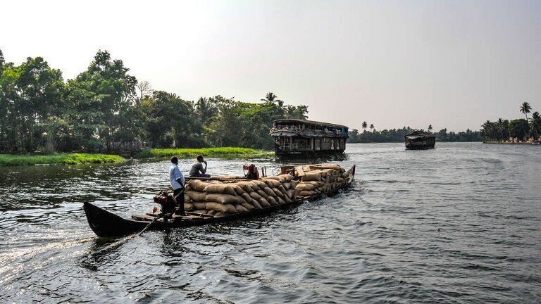 A Taste of Southern India - Temples & Tea Plantations