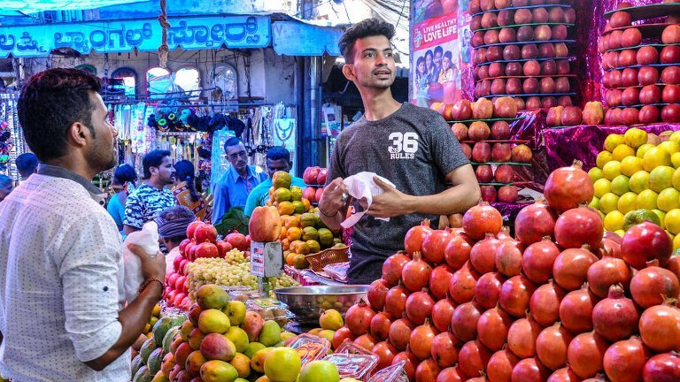 A Taste of Southern India - Temples & Tea Plantations