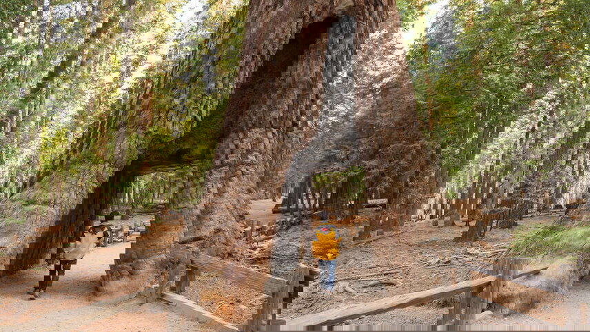 Western USA National Parks Explorer (Moab and Mesa Verde)