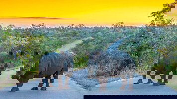 10 Day South Africa & Eswatini (Explore)