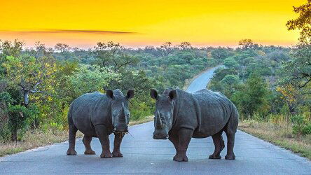 10 Day South Africa & Eswatini (Explore)