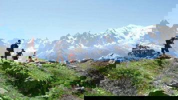 Adventure Safely on an Explore Tour