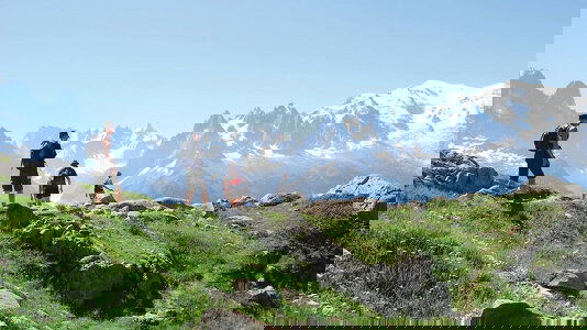 Adventure Safely on an Explore Tour