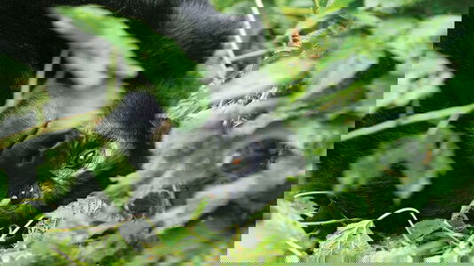 Explore Wildlife Tours