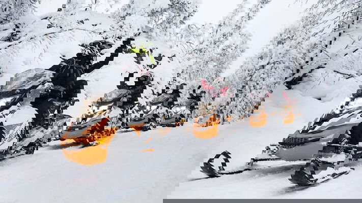 Journeys Above the 50th Parallel