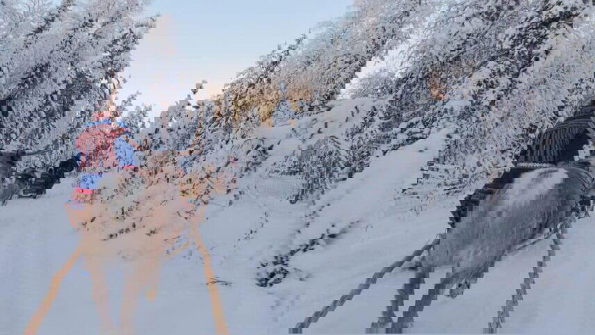 Lapland Winter Magic