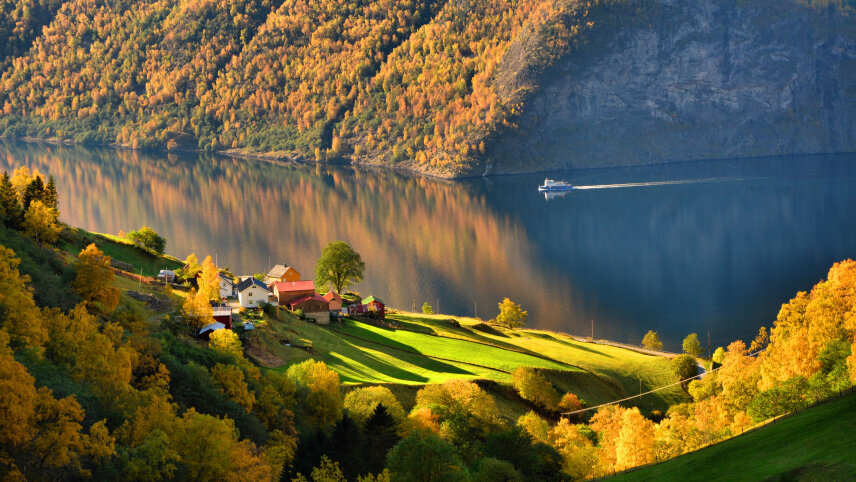Scandinavian Capitals & Fjords in Autumn