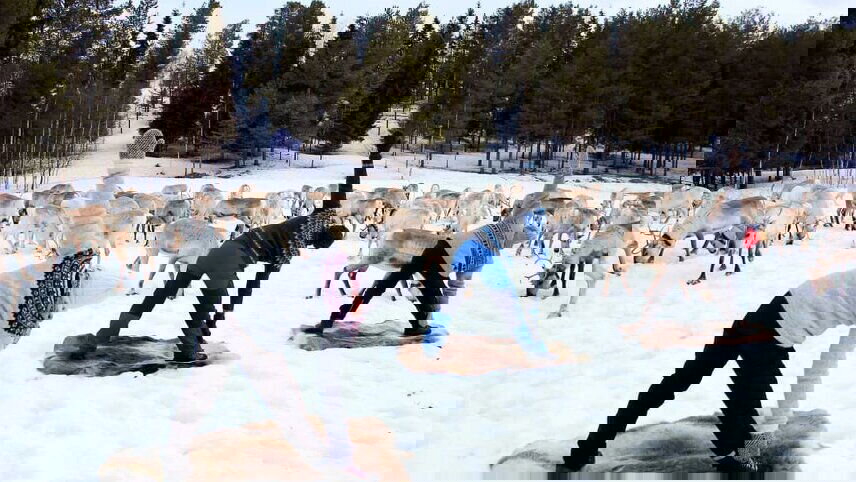 Women’s Wellness Retreat in Finland