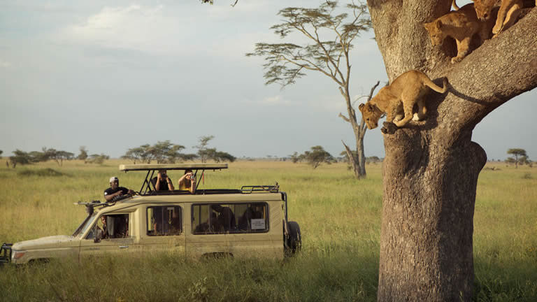 Tanzania Camping Adventure