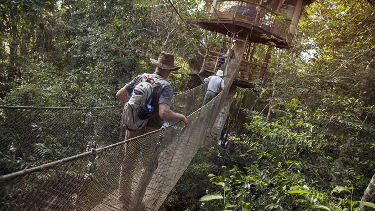 Local Living Ecuador - Amazon Jungle
