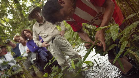 Learn Traditional Techniques