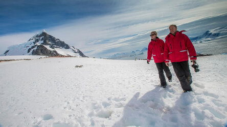 The Gentoo of South Georgia