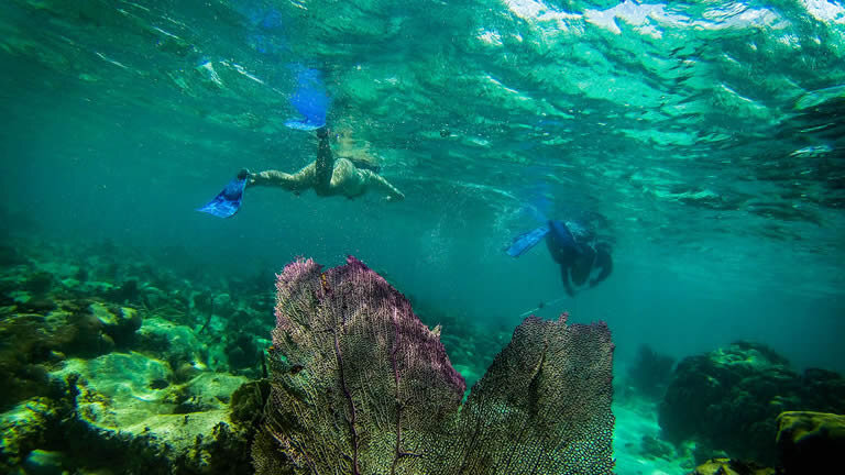 Belize Uncovered: Reefs, Ruins & Reggae